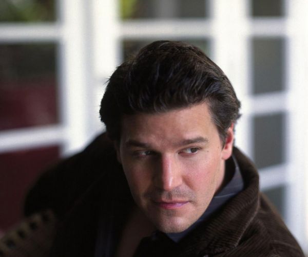 David Boreanaz 